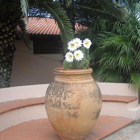 Hotel Villaggio Cala Di Volpe Capo Vaticano Buitenkant foto