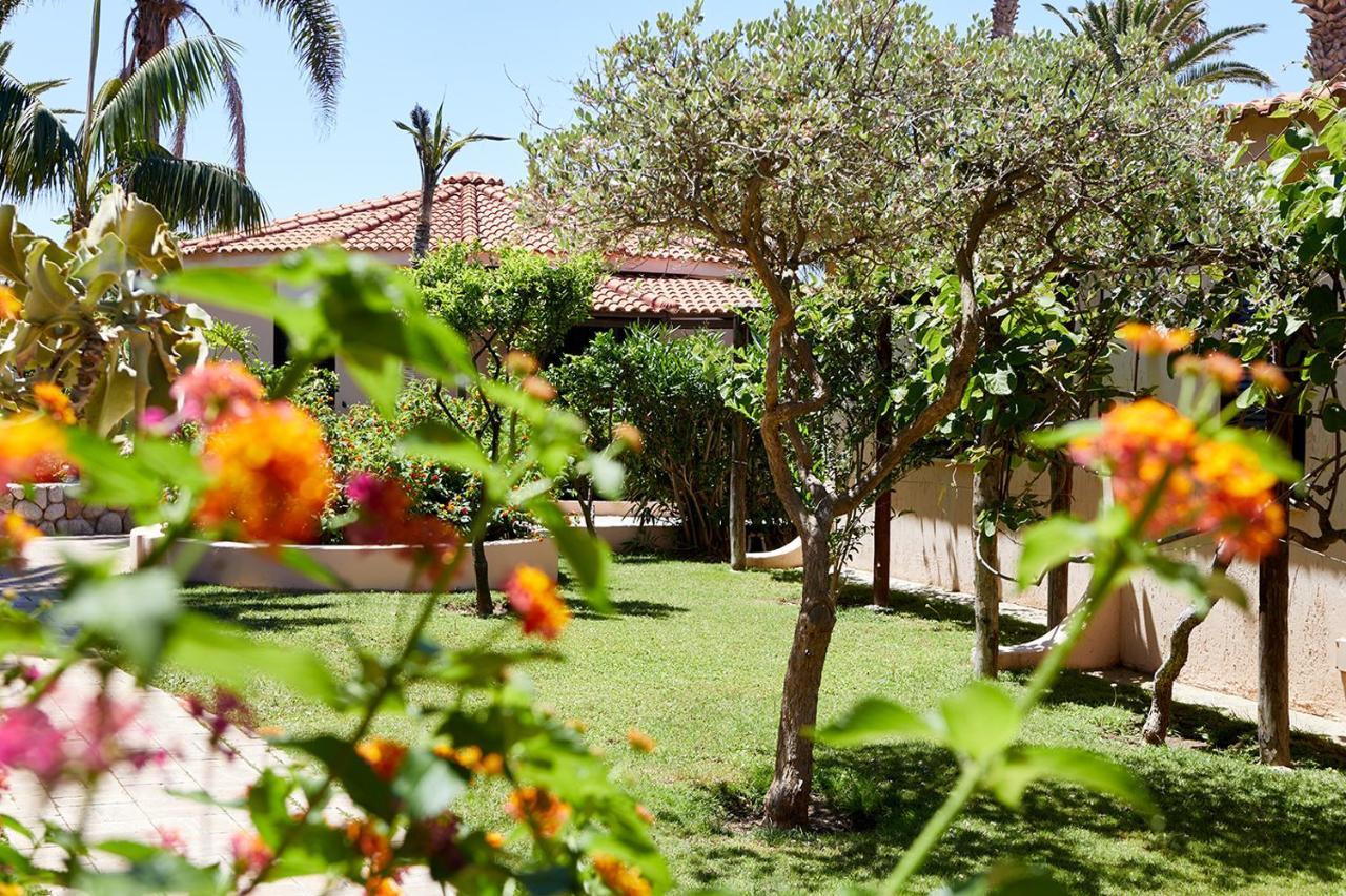 Hotel Villaggio Cala Di Volpe Capo Vaticano Buitenkant foto