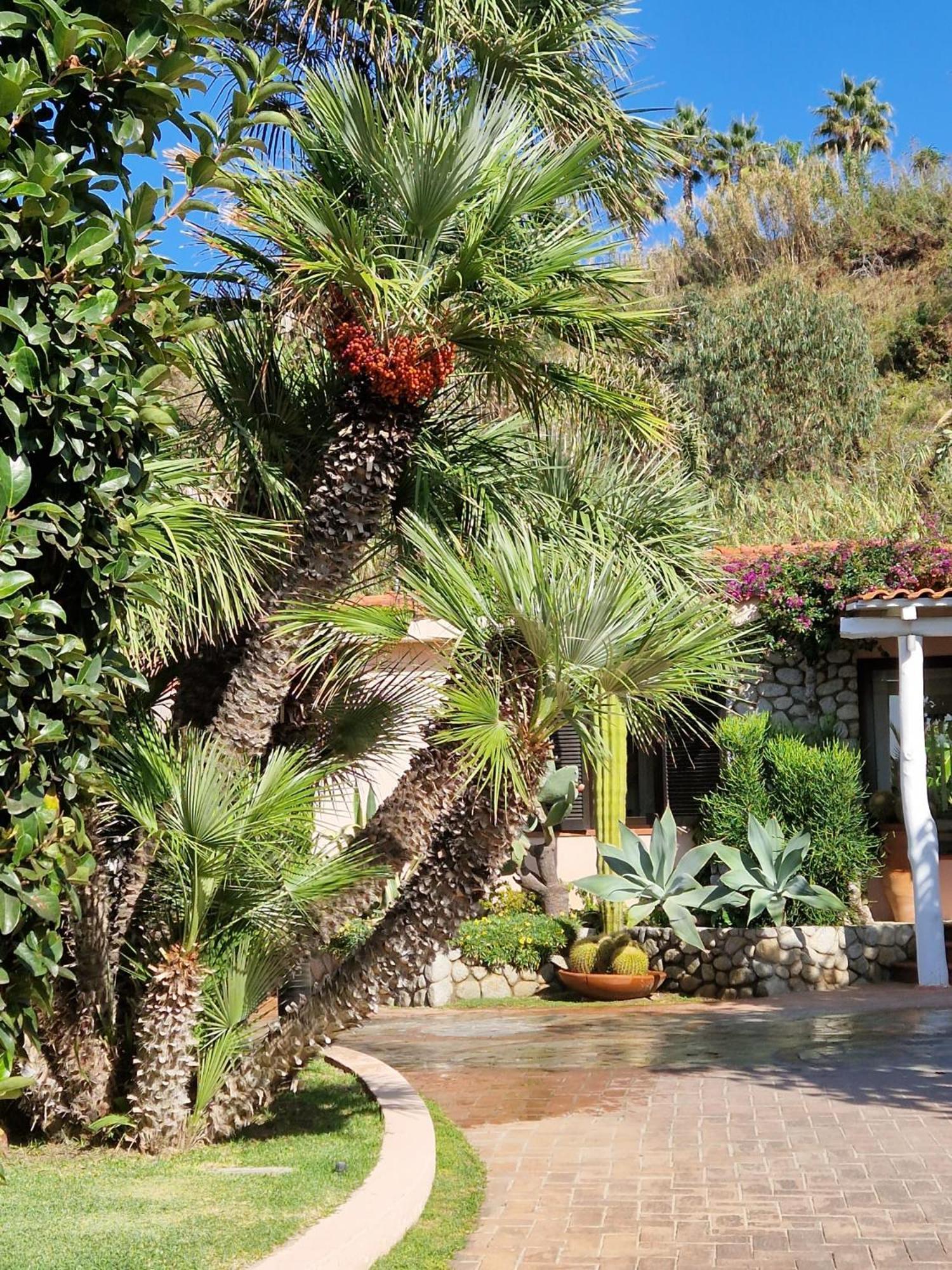 Hotel Villaggio Cala Di Volpe Capo Vaticano Buitenkant foto
