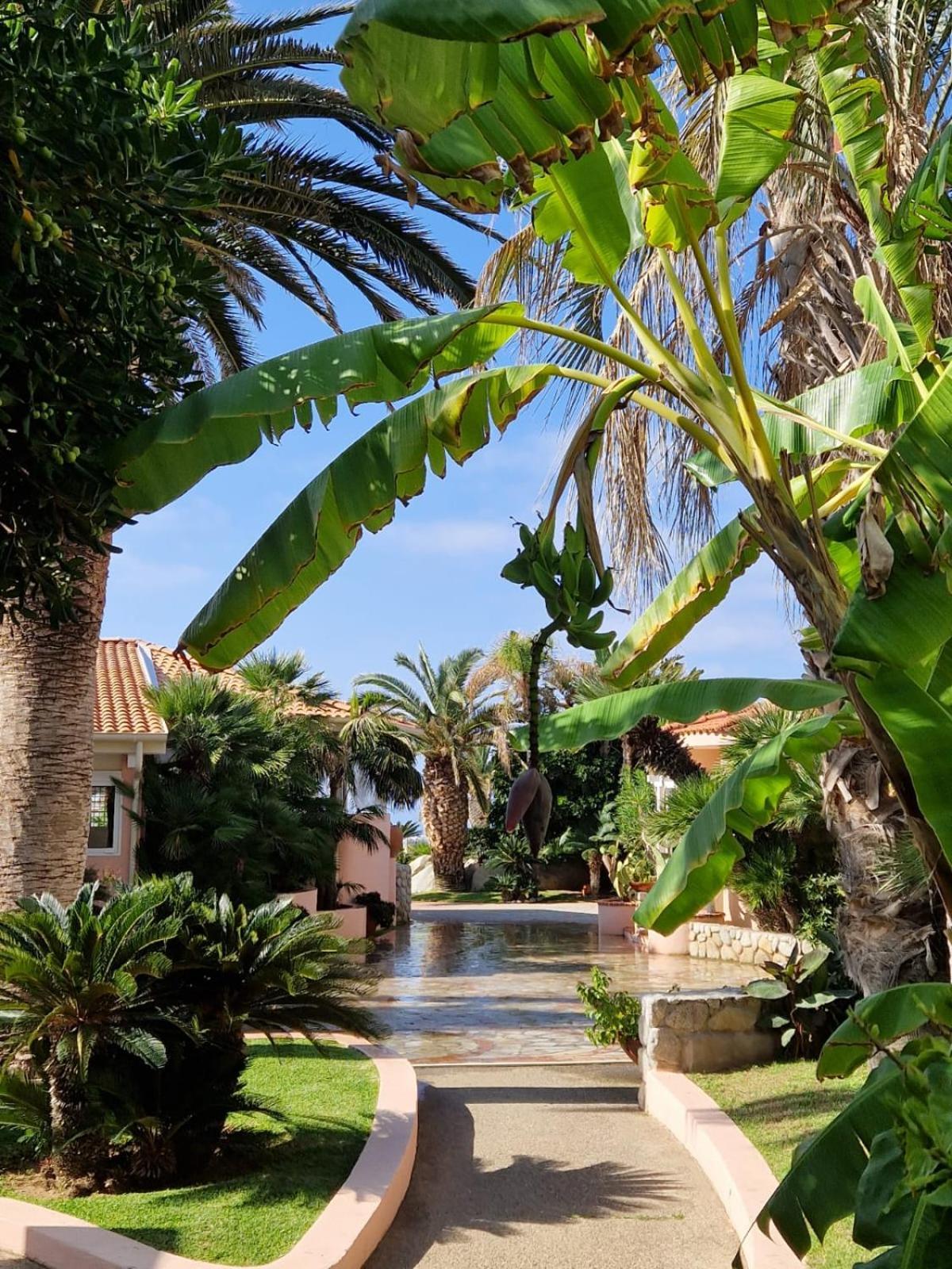 Hotel Villaggio Cala Di Volpe Capo Vaticano Buitenkant foto