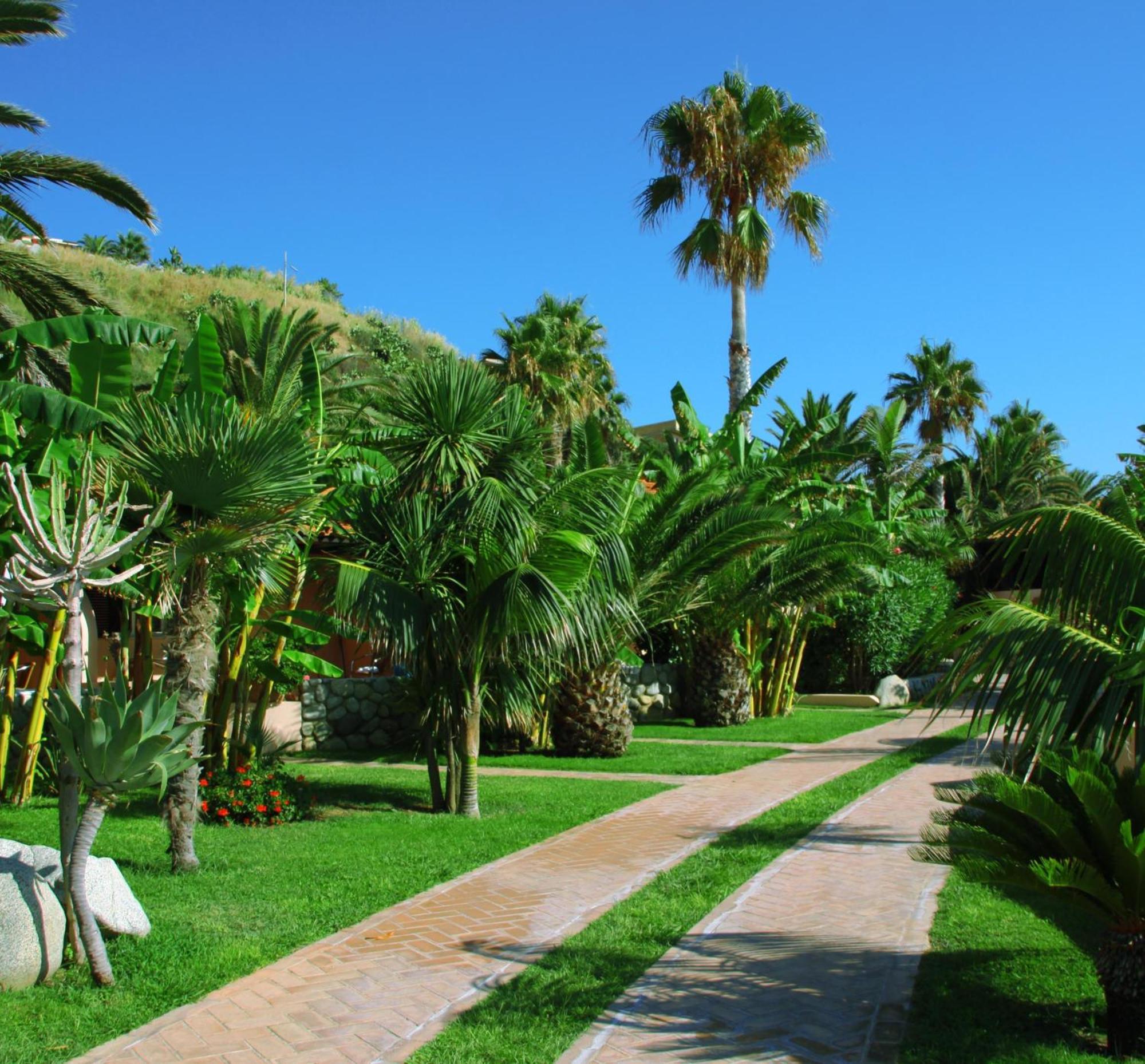 Hotel Villaggio Cala Di Volpe Capo Vaticano Buitenkant foto